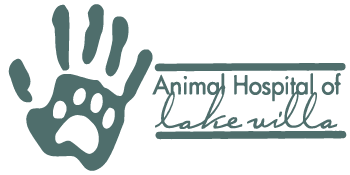 AHLV logo