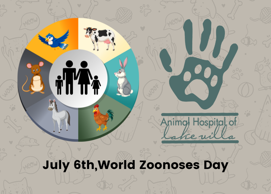 World Zoonoses Day: Protecting Humans and Pets from Animal-Transmitted Diseases