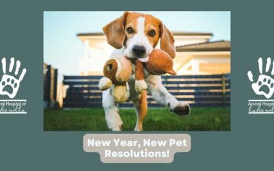 New Year, Healthier Pets: Top Resolutions for Pet Owners in 2024