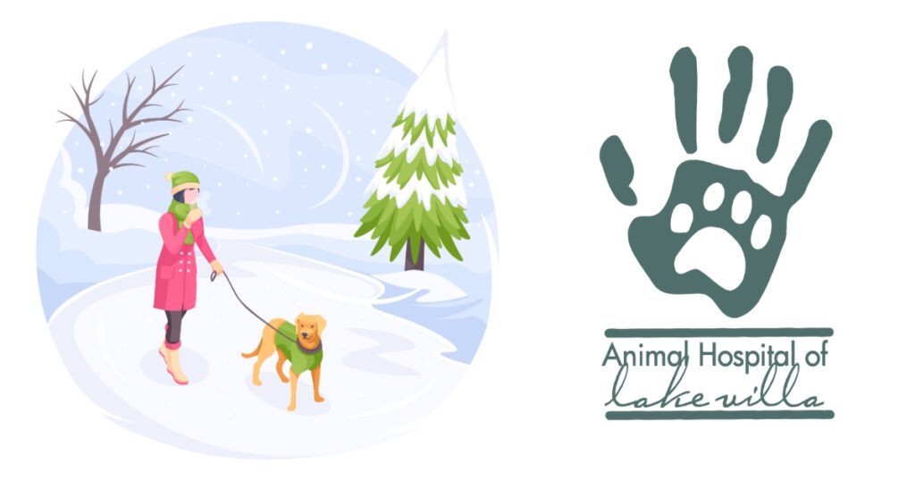 Winterpetsafetyblogheader