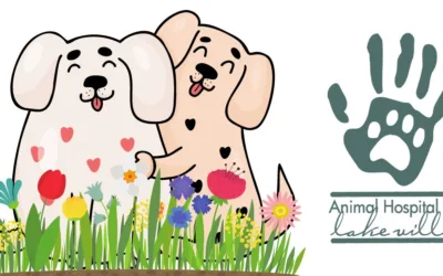 Avoid a Spring Fling: Special Promotion at Animal Hospital of Lake Villa