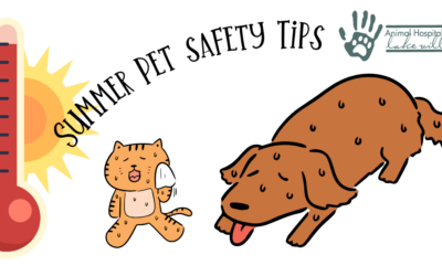 Summer Pet Safety Tips: Keeping Your Furry Friends Cool and Happy