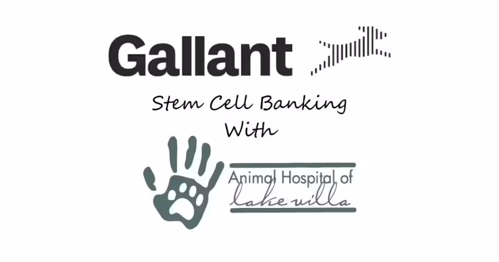 Stem Cell Banking