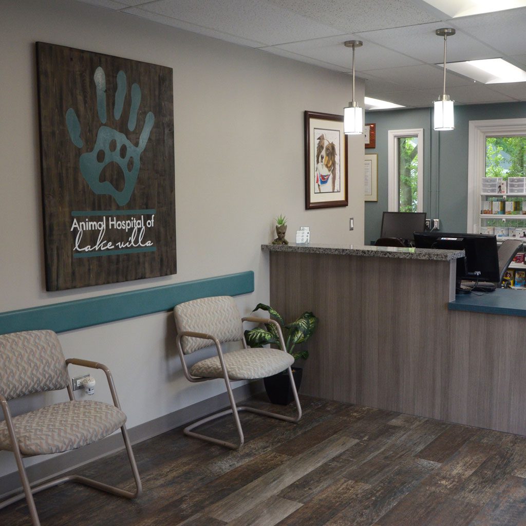 front lobby area of Animal Hospital of Lake Villa