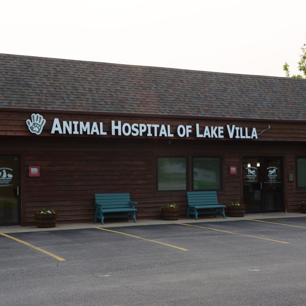 Animal Hospital of Lake Villa building front