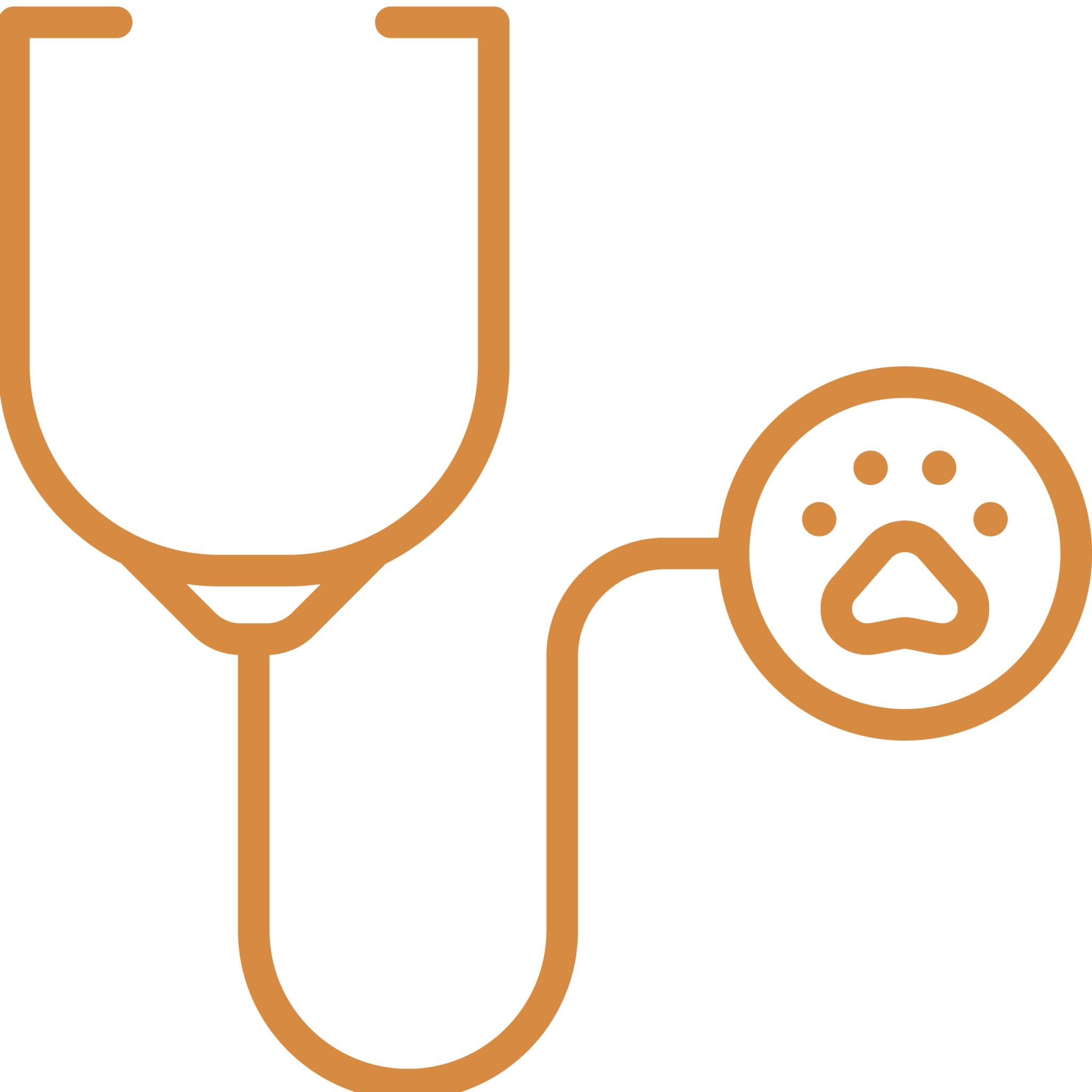 Stethescope Icon
