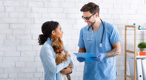 male-vet-talking-with-female-dog-owner-while-she-holds-her-small-dog-during-appointment-at-the-clinic