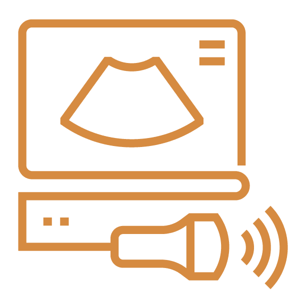 Icon Ultrasound