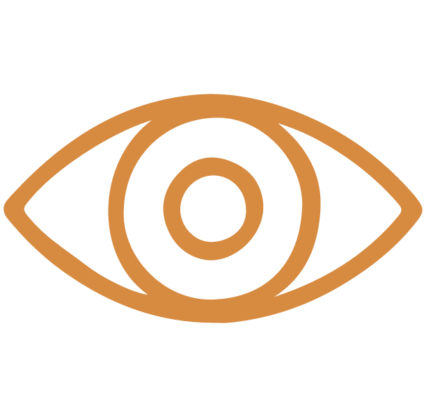 Clear Visualization Icon