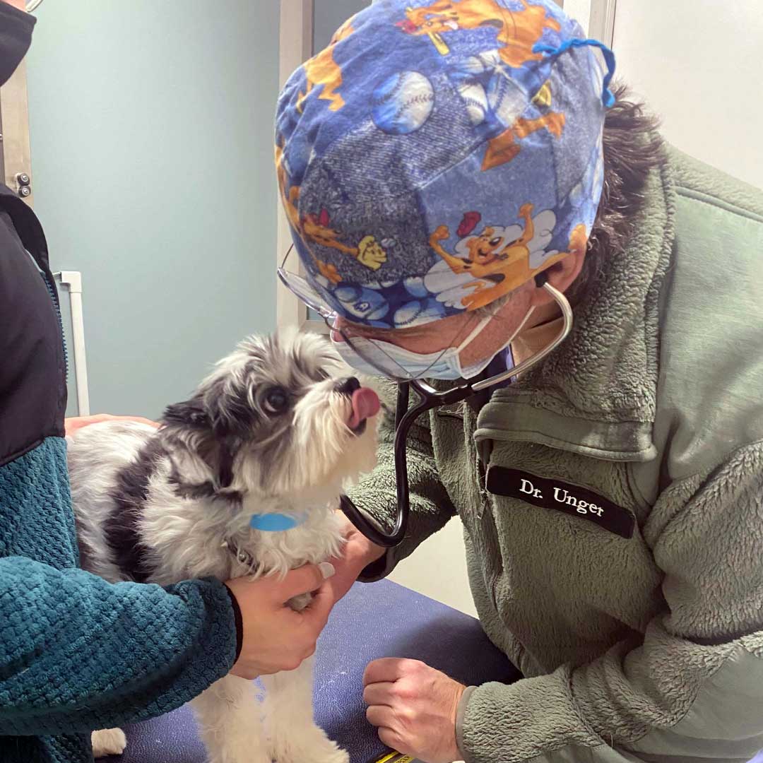 Dr. Unger With Dog Dr. Unger listens to small dog's vitals