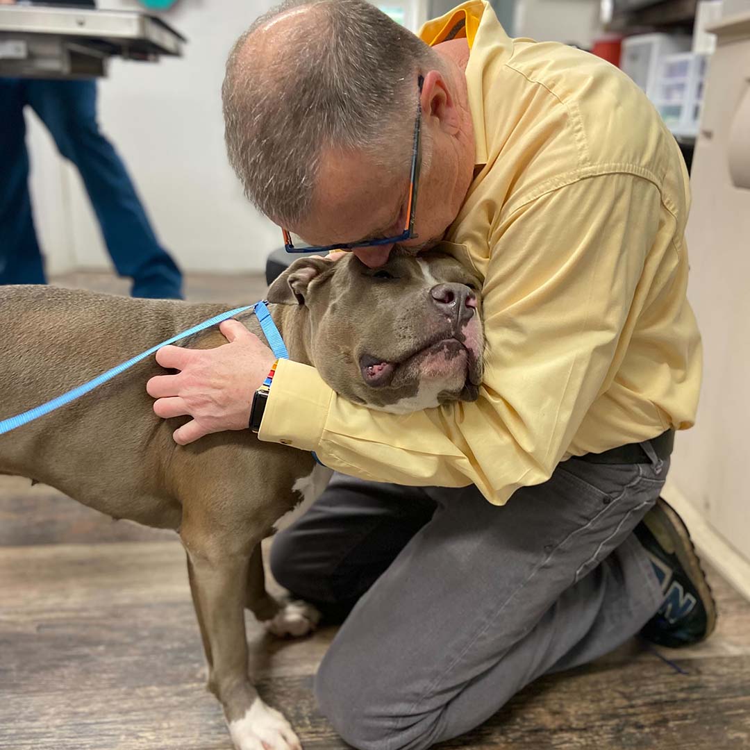 pet owner hugging his brown dog