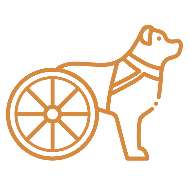 Icon Amputee