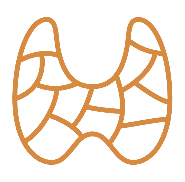 Icon Endocrine