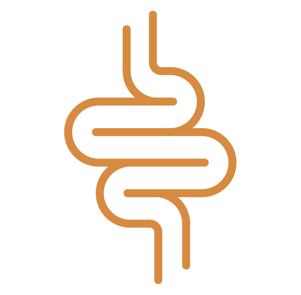 Icon Gastrointestinal
