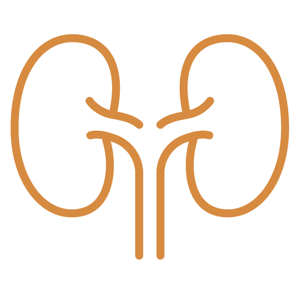 Icon Kidneys