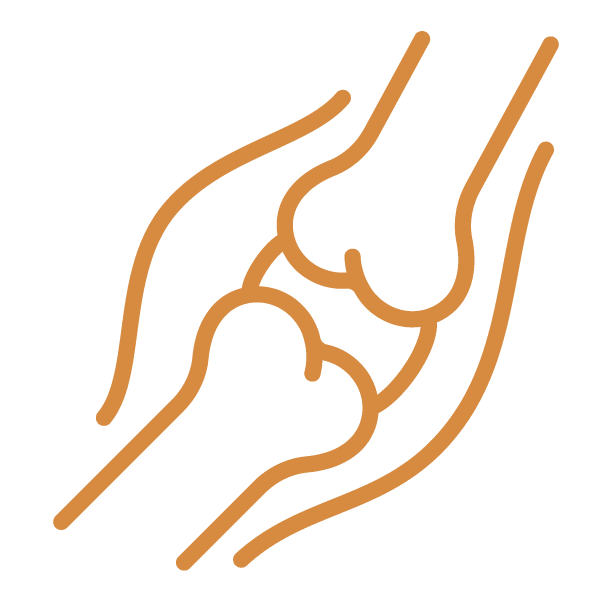 Icon Ligament