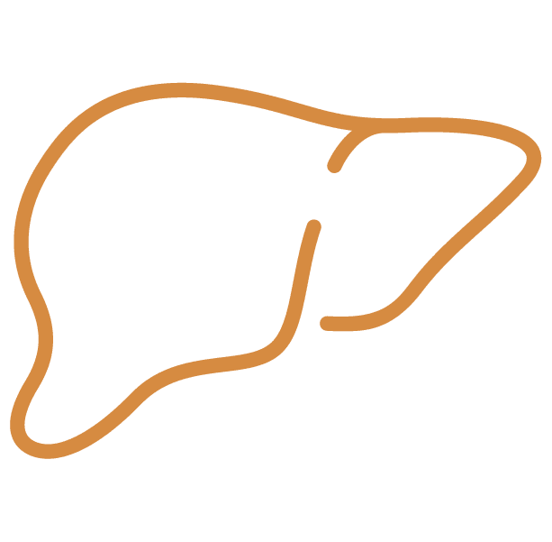Icon Liver