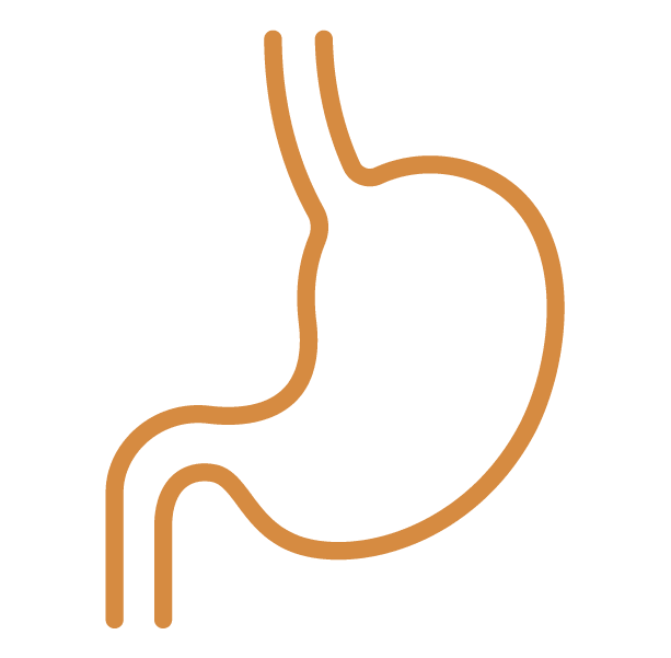 Icon Stomach
