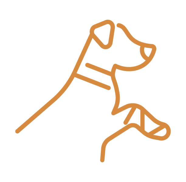 Wounds Injuries Icon
