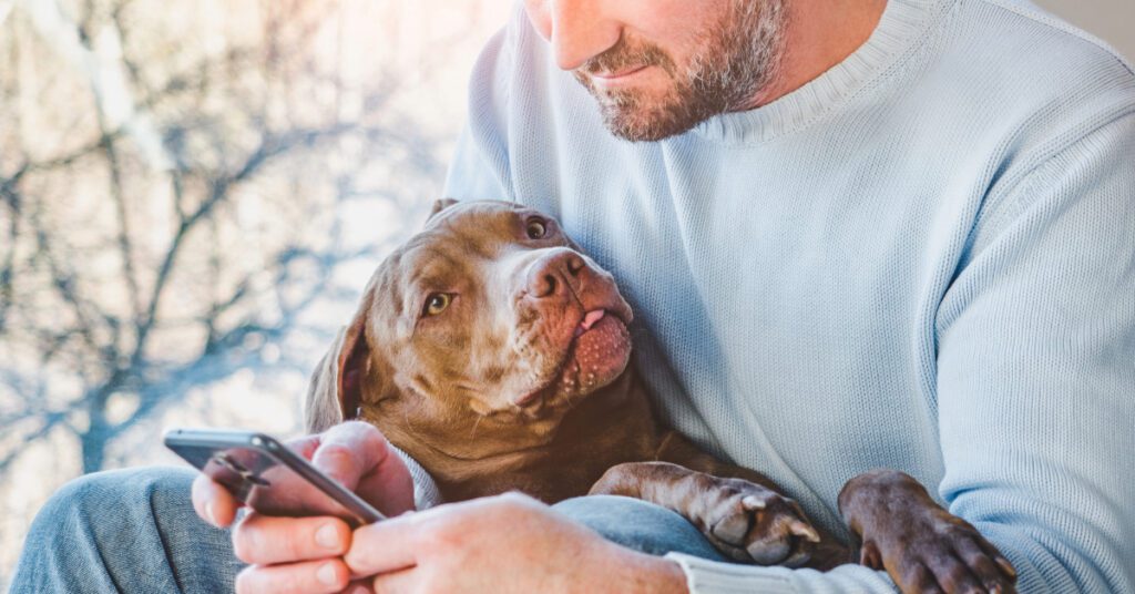 male dog owner searching on cell phone while holding his dog in his lap at home