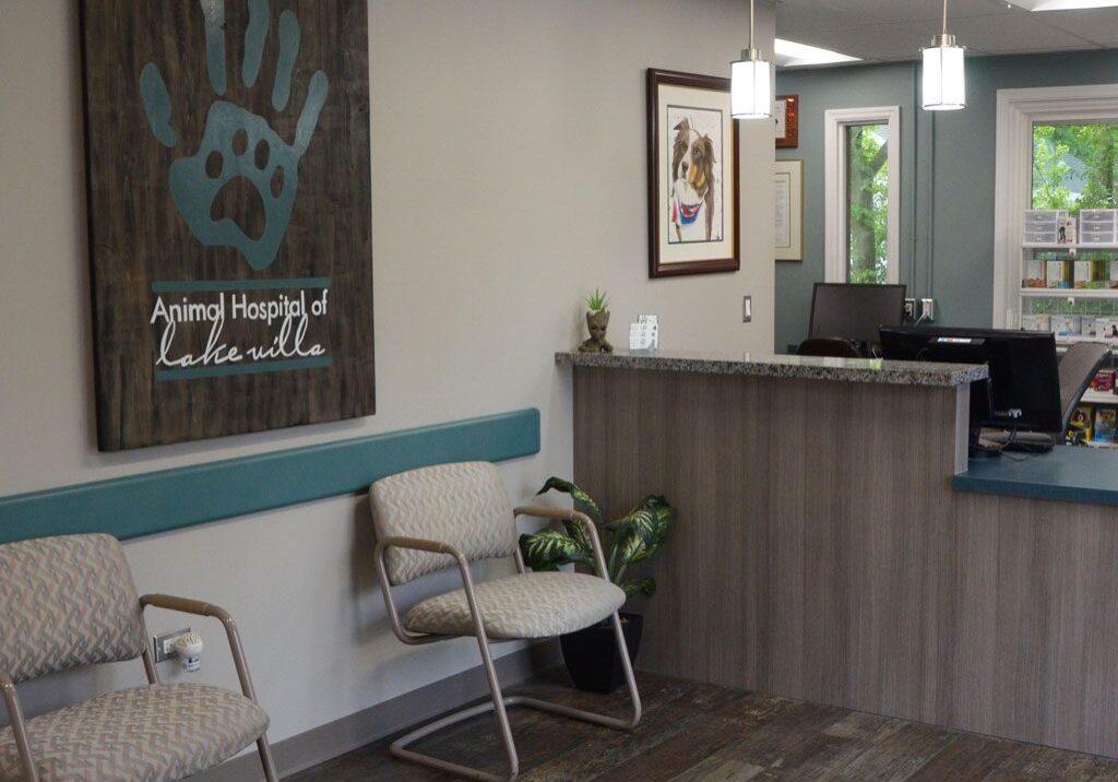 front lobby area of Animal Hospital of Lake Villa
