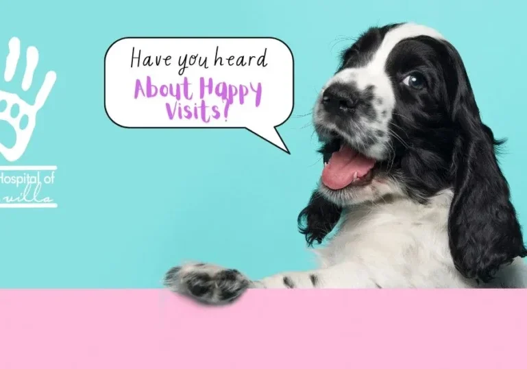 Happyvisitheader