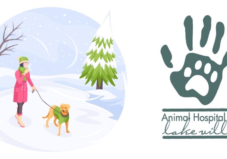 Winterpetsafetyblogheader