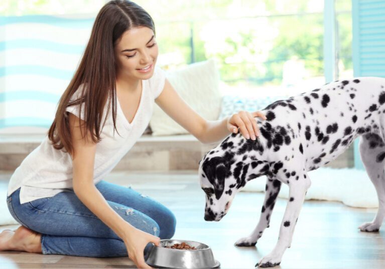 female owner feeding Dalmatian dog kidney diet for dogs