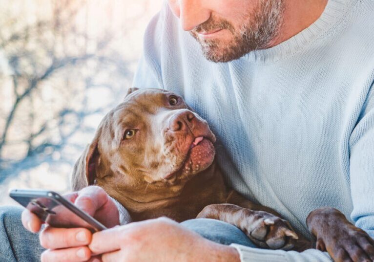 male dog owner searching on cell phone while holding his dog in his lap at home